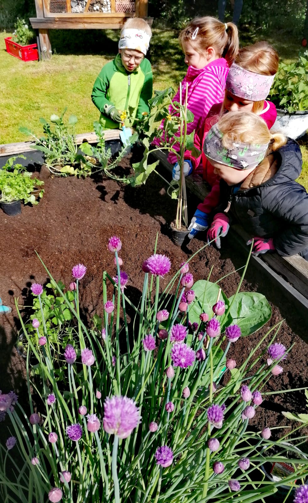 Dorfplatzgarten
